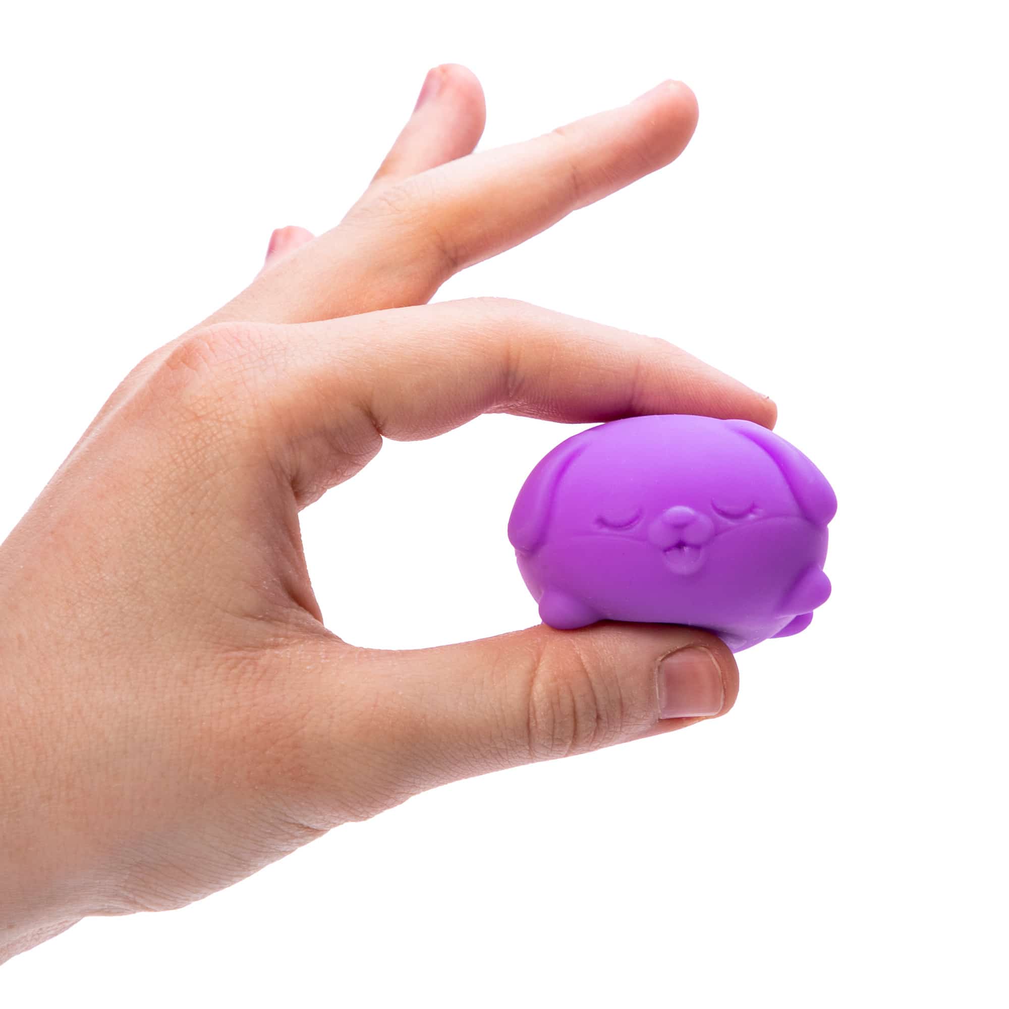 Teenie NeeDoh Funky Pups - Squeeze Purple