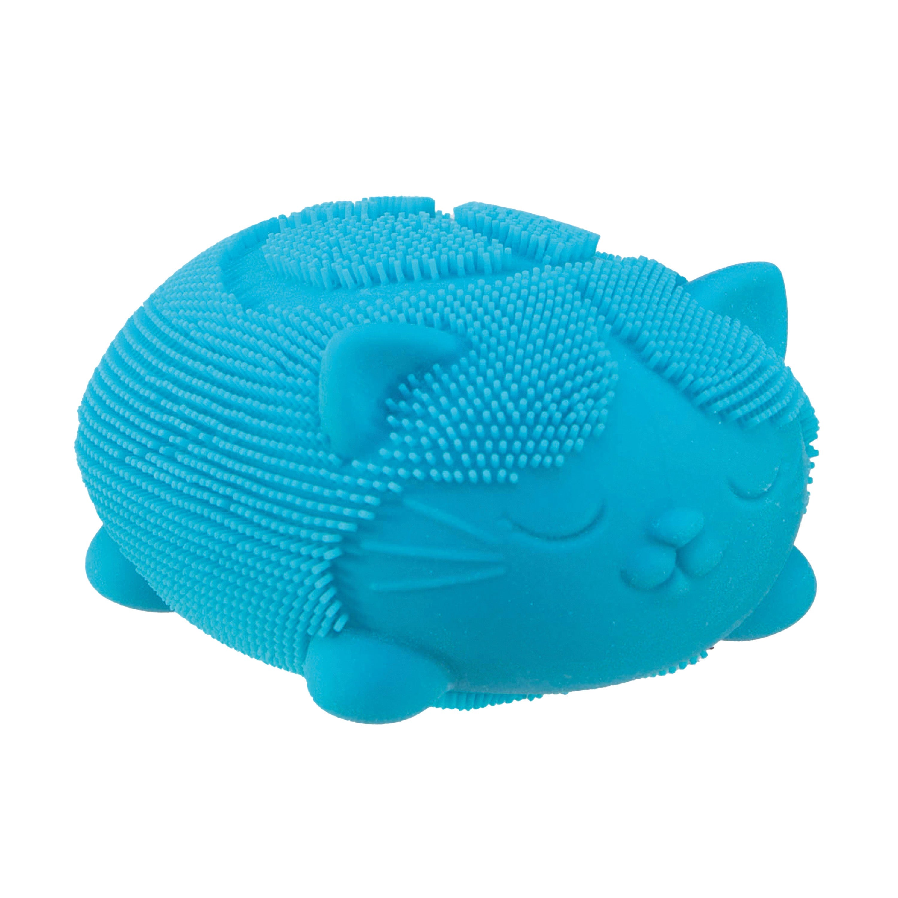 WCFZBND_Image9